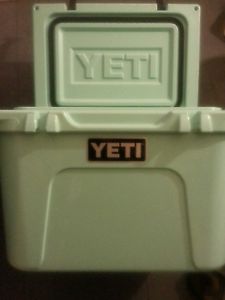 Yeti Roadie 20 Seafoam Green