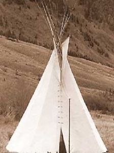 CANVAS CROW TIPI 20 FT.