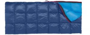 Big Agnes Big Pine 35° 600 DownTek Rectangular Sleeping Bag! High Quality Bag!