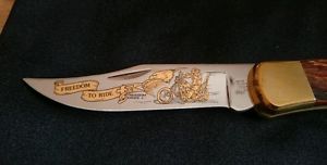 BUCK folding hunter *Limeted Edition*