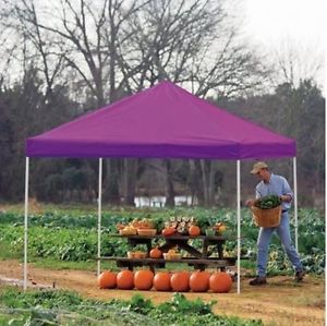 Shelterlogic 10 x 10 Straight Leg Pro Series Pop Up Canopy Waterproof Durable