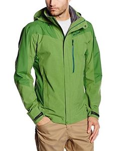 Salewa, Giacca Uomo Alphubel, Verde (Treetop/5670), M