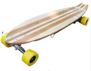 500 Watt Electric Skateboard