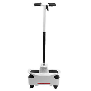 Mini Dual Wheel Self-Balancing Electric Vehicle