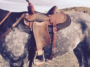 14 inch Courts Sharron Camarillo Barrel Saddle