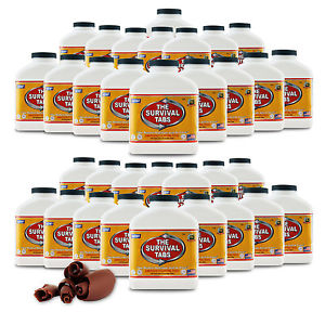 Earthquake Snow Meal Non GMO Gluten Free 25 Year Shelf Life 495 Day Supply