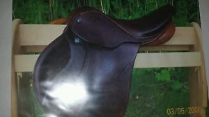 Stubben Seigfried Cs