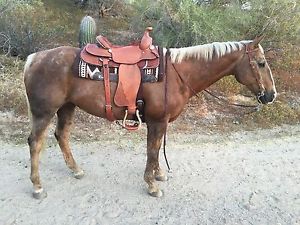 Rare 7D Rope Saddle- Awesome- Back Cinch- Tooled- 16"