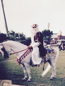 Authentic Arabian Costume Class Saddle,Tack, Robe & Head dress