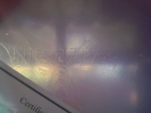 #1599 THE ELEVEN 2009 USDGC CHAMPION ROC