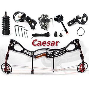 M122 Profession Archery Compound Bow Right&Left Hand Hunting Bow Bow&Arrow Set