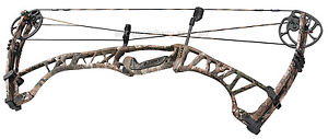 Hoyt Spyder 34- New- RH/27-29" Draw/ 60#