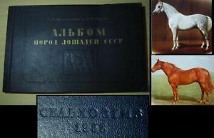 1953 RUSSIAN BOOK – HORSE BREEDS w/PEDIGREES V.RARE