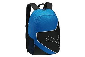 Puma Black Casual Backpack (7069603)