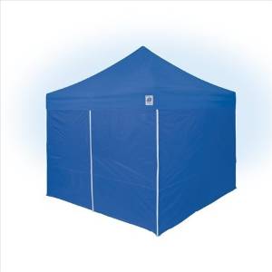 E-Z Up VantageTM Value Pak Recreational Instant Shelter, 10'X10', Blue, Steel