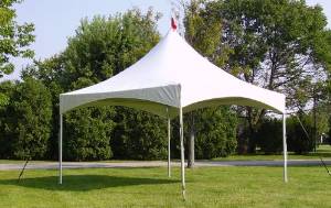 Celina 20' X 20' Pinnacle / 2" Dia. Frame Peak-Top Party Tent
