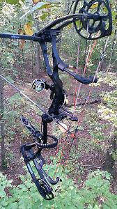 Bear Motive 6 Bow