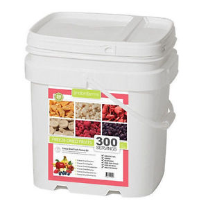 Lindon Farms 300 Serving Fruit Snack Bucket- Berries Peaches Bananas Apples