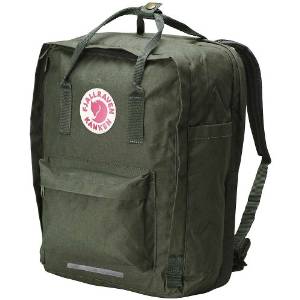 Fjallraven Kanken 17 Backpack