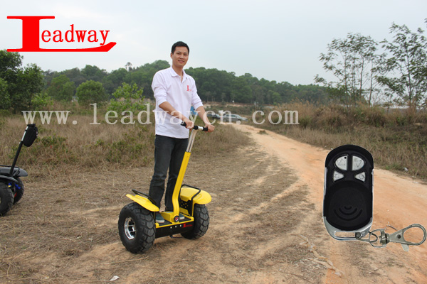 Leadway 19 wheel and Max support 200kg off road electric scooters prices( RM09D-T1276)