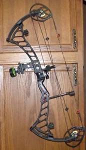 Bowtech Prodigy Bow with Extras
