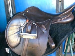 Schleese Eagle 17.5 Inch