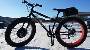 1000 Watt Electric Fat Tire Bike Beach Cruiser Mountain Bicycle 48 Volt