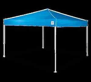 E-Z UP Regency 12ftx12ft Instant Shelter-RG9124BL NEW