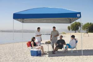 E-Z Up Regency 12'x12' Instant Shelter