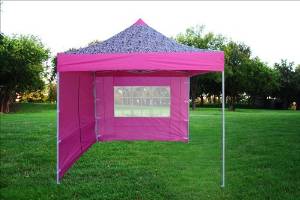 10x10 Pop up 4 Wall Canopy Party Tent Gazebo Ez Pink Zebra - F Model Upgraded Frame By DELTA Canopies