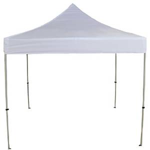 Celina 10' X 10' Fast Shade Instant Pop up Canopy