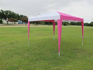 10'x10' Pop Up Canopy Party Tent Gazebo EZ CS N - Pink/White - By DELTA Canopies
