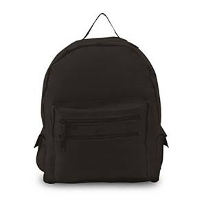 BACKPACK ON A BUDGET, Case of 12