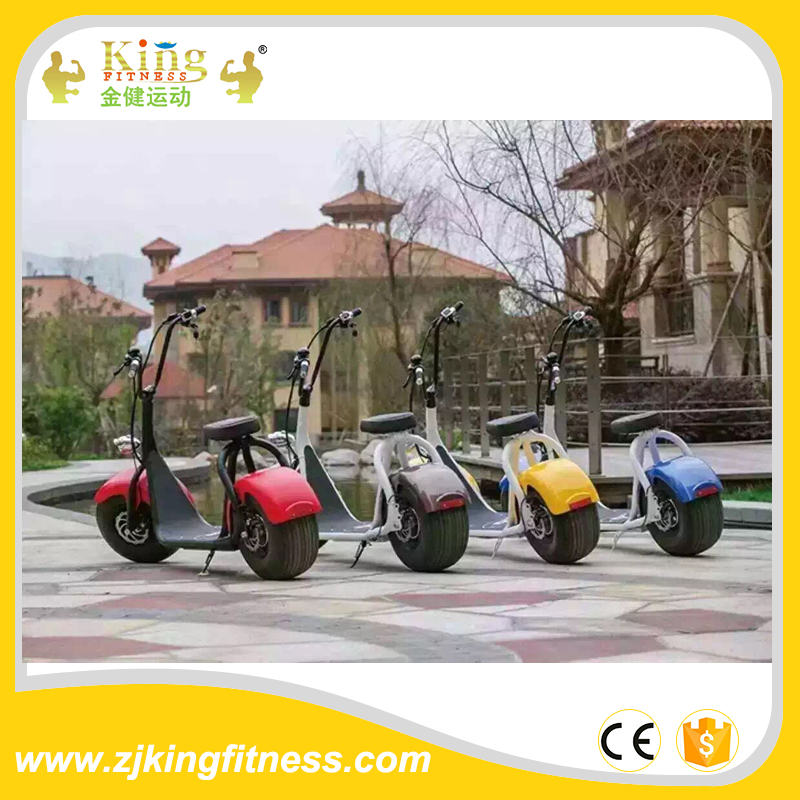 Adult electric motorcycle cheap fat tire electric bike