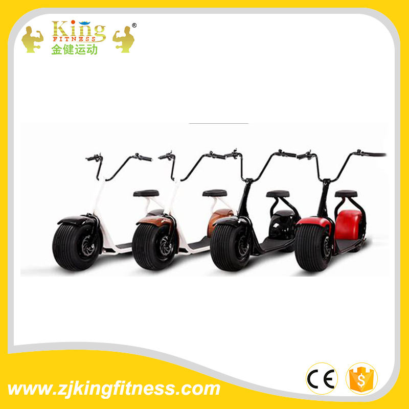 NEW Adult electric 2 wheel cheap folding electric bike