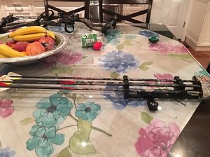 hoyt charger compound bow