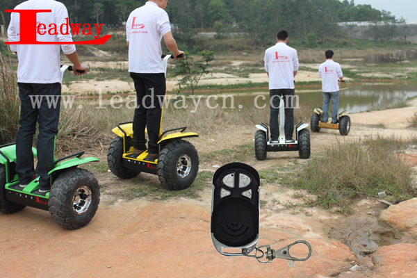 Leadway 6 groups gyroscope mypet electric scooter off road ( RM09D-T710)