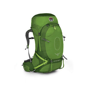 Osprey Atmos 65 AG Backpack - Absinthe Green - Medium