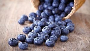 15 LB (Post-Process) Freeze Dried Whole Blueberries