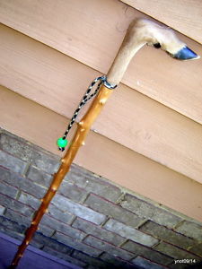 original spiky WILD CHERRY DEER FOOT/hoof walking/hiking STICK/cane