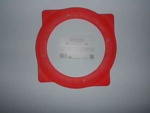 The Wicked Wing Flying Thing