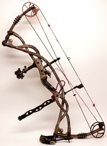 Hoyt Carbon Matrix Compound Bow RH 60-70# DW 29.5" DL Hunting Bowfishing