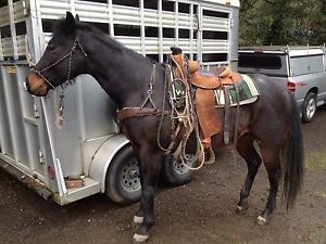 Visalia Stock Saddle D.E. Walker  Buckaroo 16