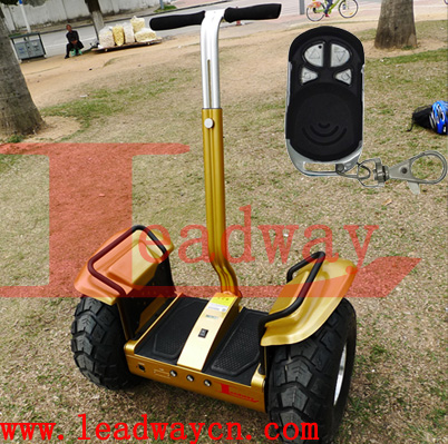 Leadway Motor power 2400W Charging time:8hours2 off road 3-wheel gas scooters( RM09D-T1313)