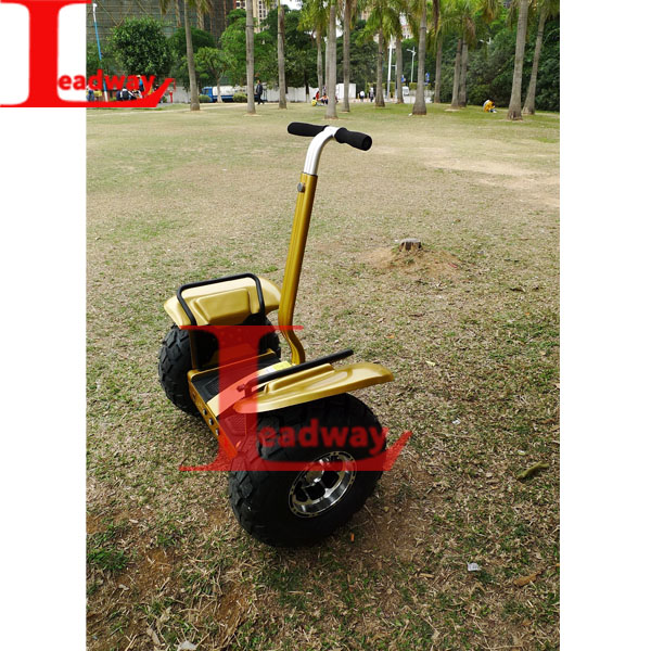 Leadway 36V-42Ah battery drives the motor to balance the vehicle. off road 1000w eec electric scooter(RM09D-T1429)