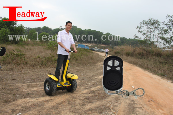 Leadway 2400W The tire: 19Motor power 2400W6 groups gyroscope off road gasoline scooter (RM09D-T1568)