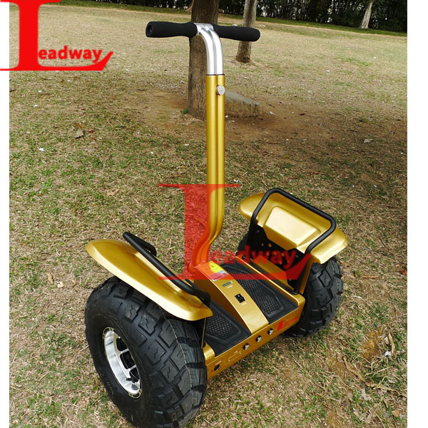 Leadway equipped with dual wheels off road battery power electric scooter (RM09D-T1583)