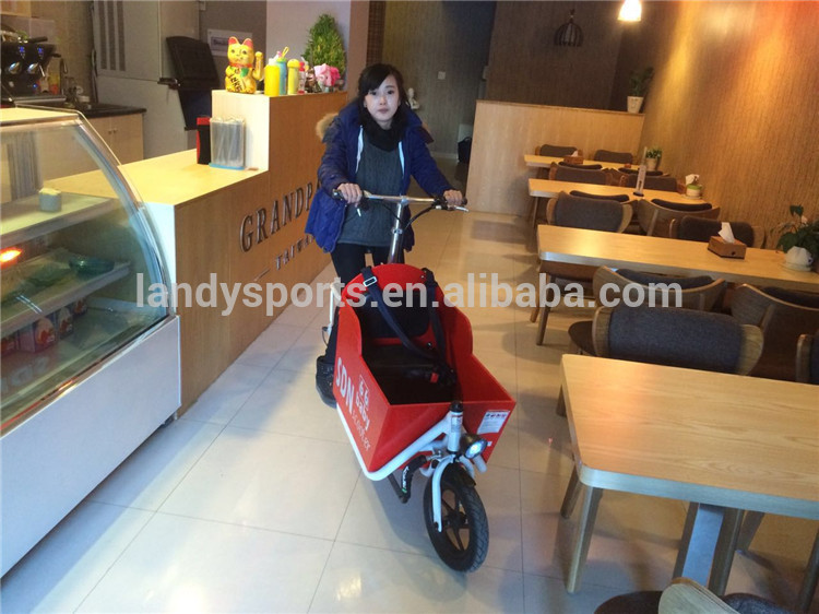 adult electric scooters