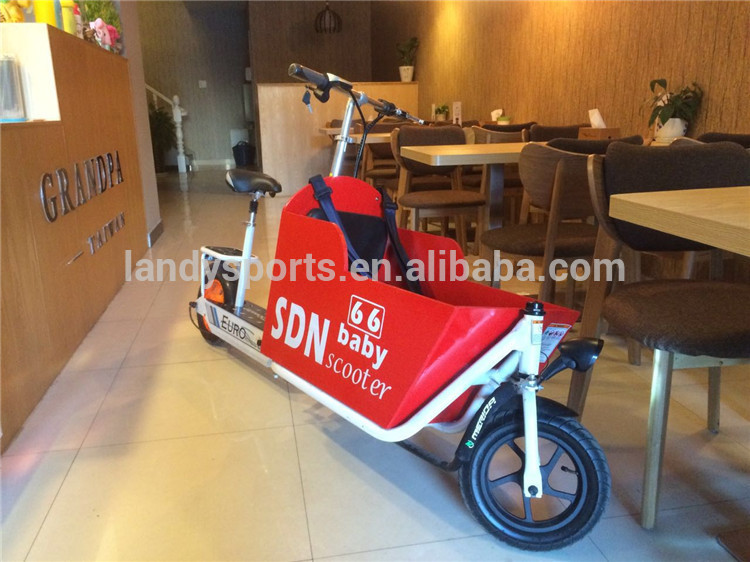 mini electric scooter