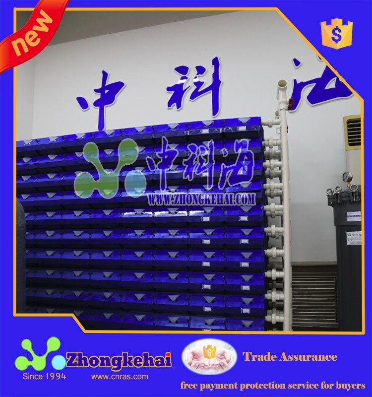 crab house,all kinds of crab, bullfrog,clawed frog,abalone